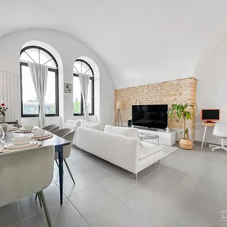 Loft Lumineux Proche De La Cathedrale 梅斯